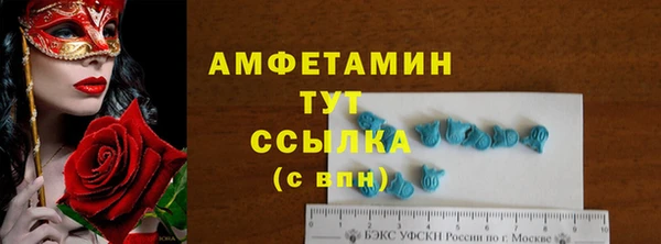гидра Алексеевка