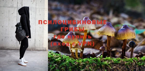 гидра Алексеевка