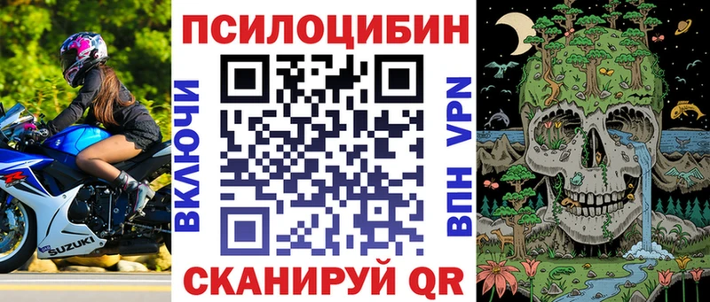 Псилоцибиновые грибы Cubensis  Калач-на-Дону 