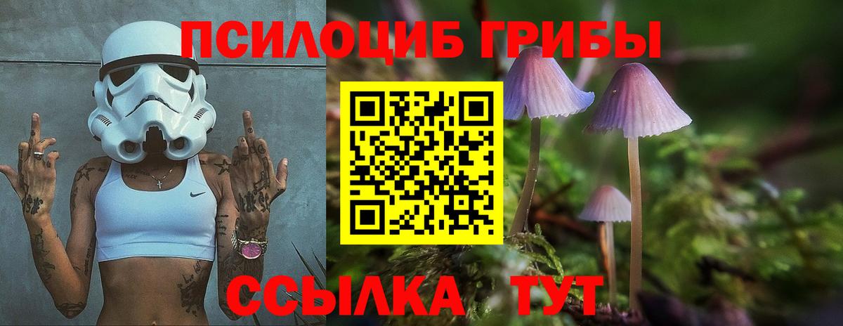Псилоцибиновые грибы мицелий Калач-на-Дону